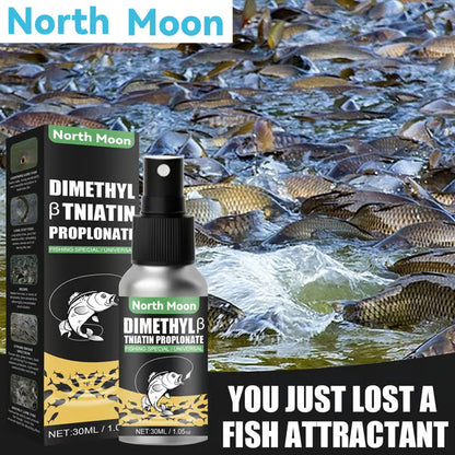 Natural bait Scent Fish Attractants for Baits